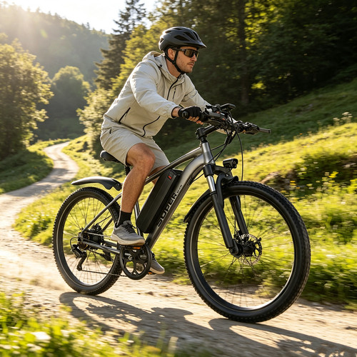 Bicicletta elettrica - elettrica, 26