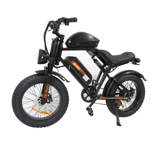 Bicicletta elettrica 48v - bicicletta,