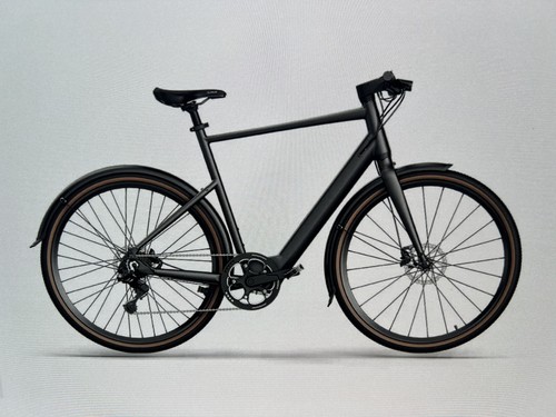 Bicicletta elettrica unisex