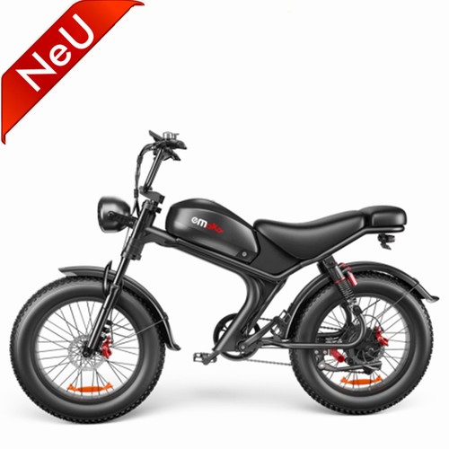 Bicicletta elettrica 1000w 48v - 1000w,