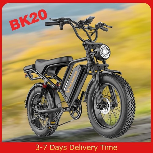 Bicicletta elettrica 1000w - bicicletta,