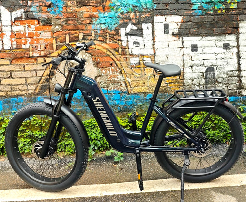 Bicicletta elettrica usata