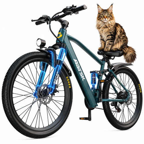 Bicicletta elettrica - elettrica, 26