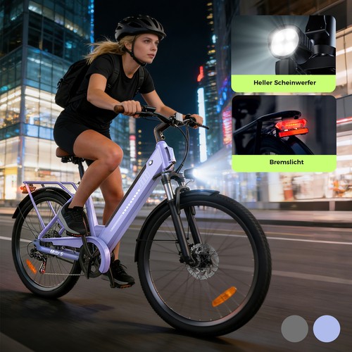 Bicicletta elettrica 250w 36v - bicicletta,