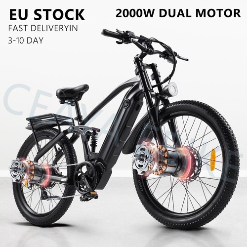 Bicicletta elettrica 48v17ah - bicicletta,