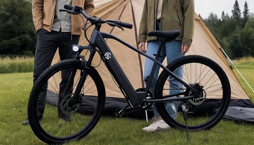 Bicicletta elettrica - , a