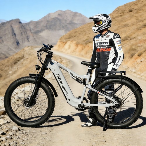 Bicicletta elettrica 2000w 48v - bicicletta,