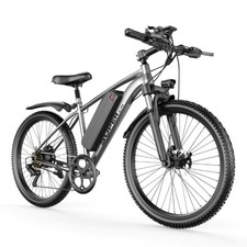 250W LIZIFLY Biciclette