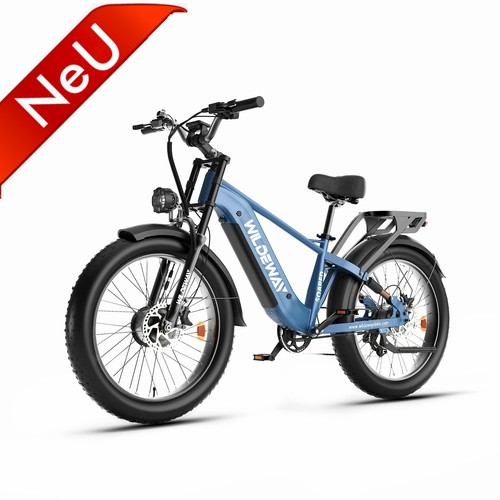 Mountain bike elettrica 2000w - bike,