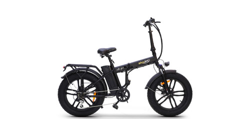 Bicicletta fat bike - bicicletta,
