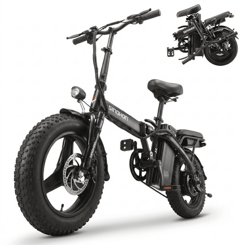 Bicicletta elettrica