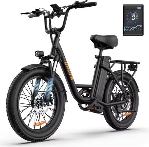 Bicicletta elettrica 250w - bicicletta,